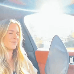Static Cling Car Side Window Sun Visor